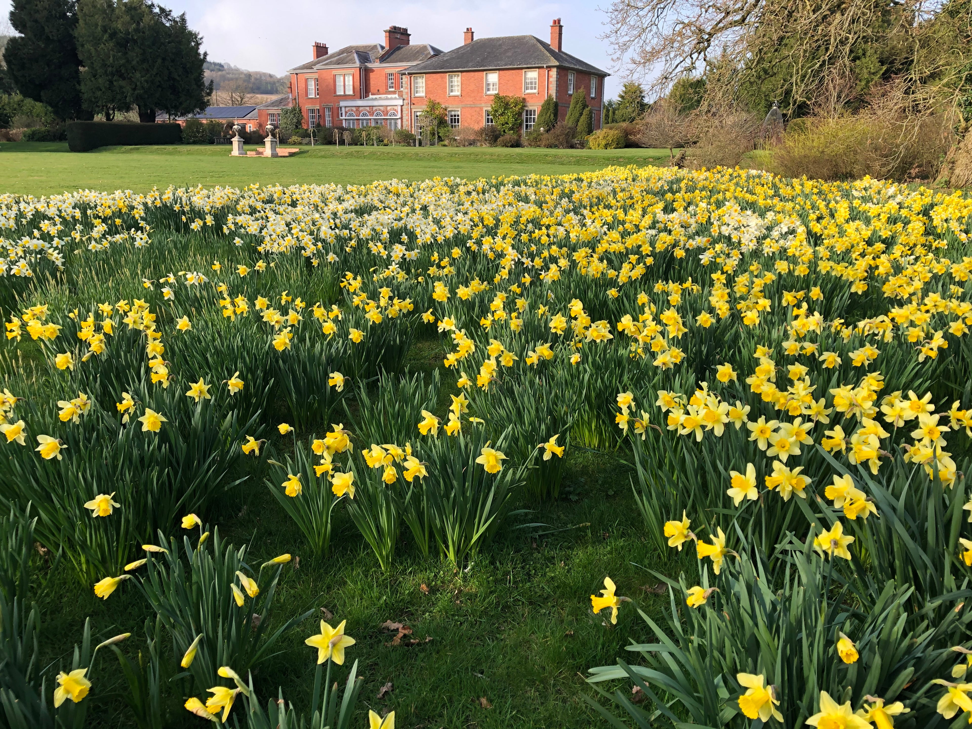 Staunton Park in spring Herefordshire